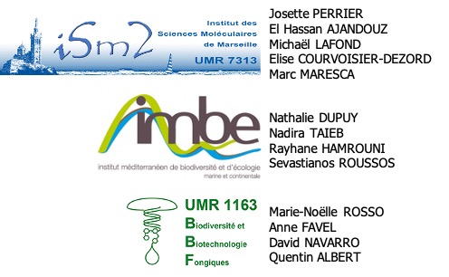 Comit&eacute; scientifique